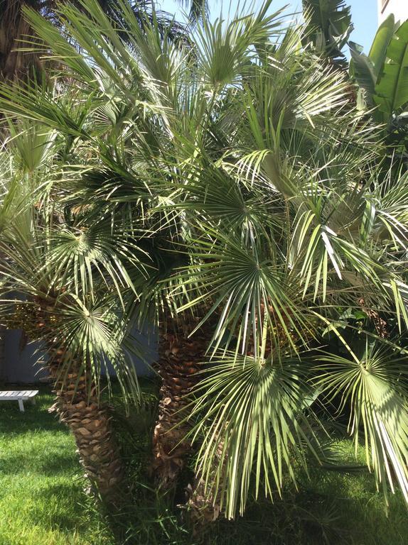 Ucciardhome Hotel Palermo Luaran gambar